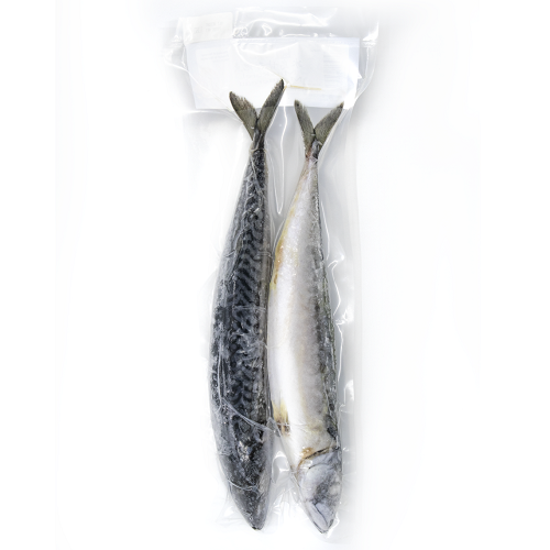 Mackerel_WR_VP_02